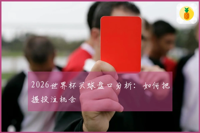 2026世界杯买球盘口分析：如何把握投注机会