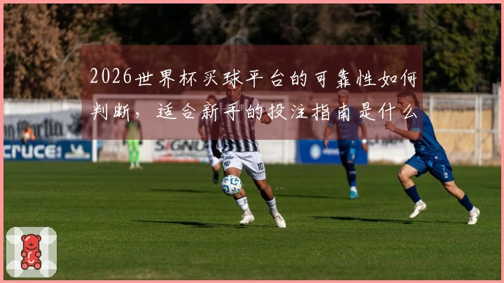2026世界杯买球平台的可靠性如何判断，适合新手的投注指南是什么