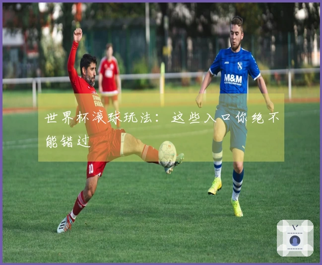 世界杯滚球玩法：这些入口你绝不能错过