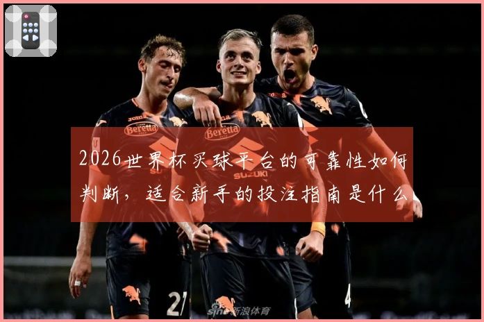 2026世界杯买球平台的可靠性如何判断，适合新手的投注指南是什么