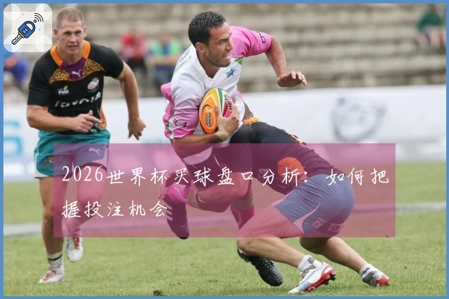 2026世界杯买球盘口分析：如何把握投注机会