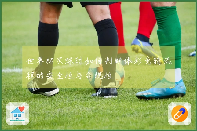 世界杯买球时如何判断体彩竞猜流程的安全性与合规性